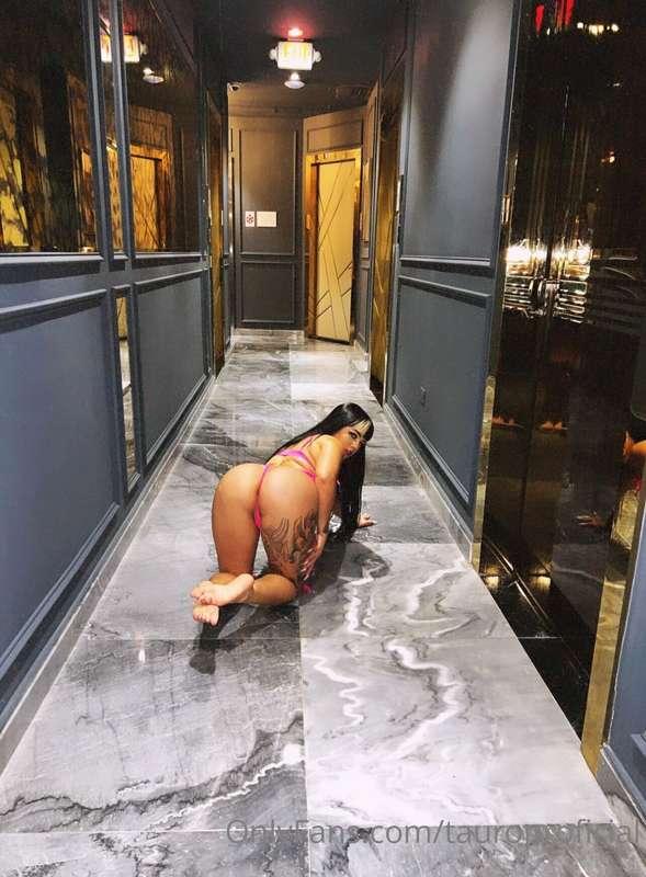 tauroproficial image #0