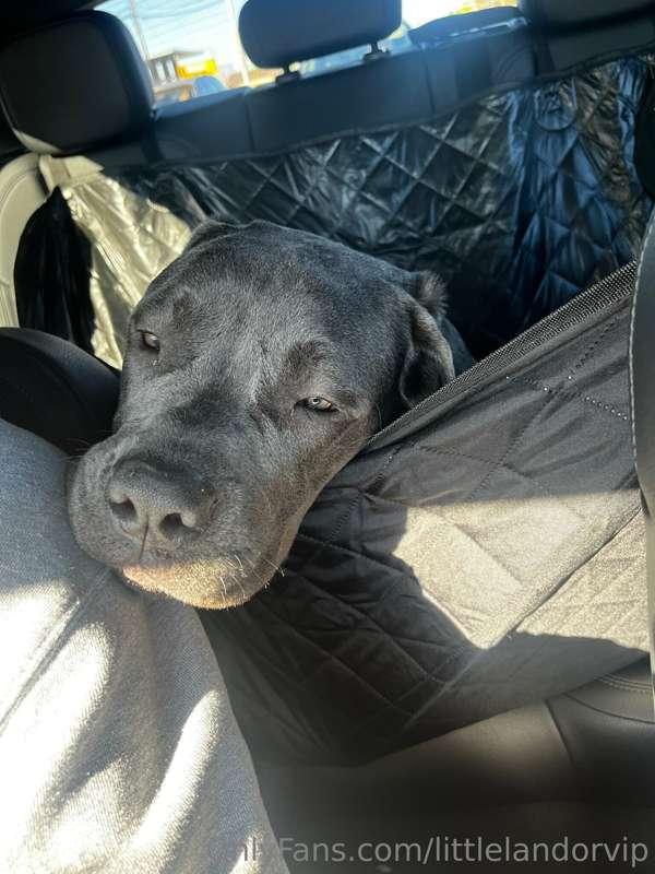 the best passenger ❤️