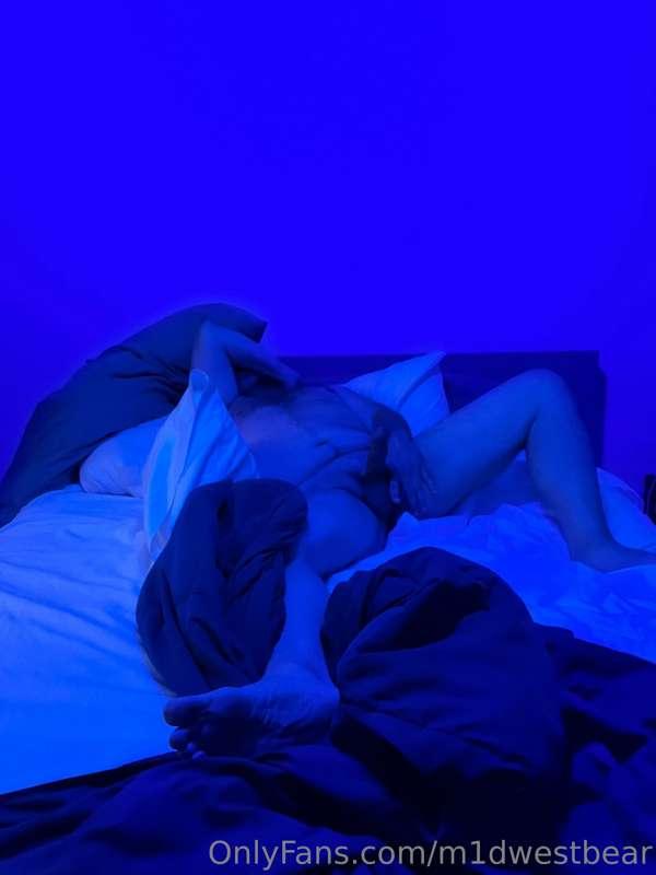 Morning!  It’s rather dull out so it’s a coloured lights tod..