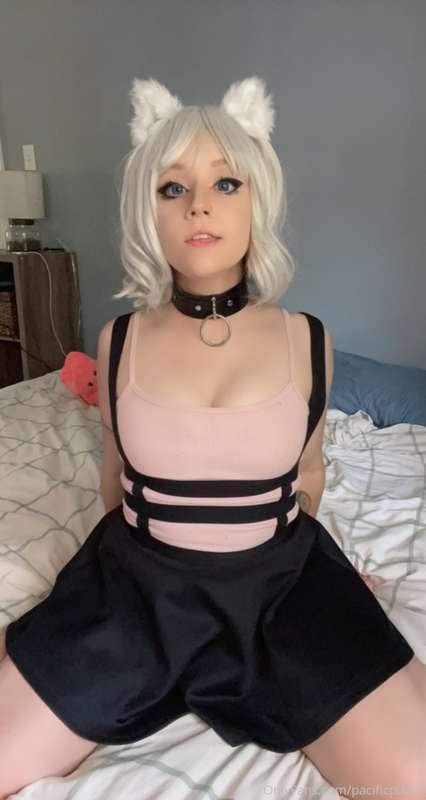 pacificpixie2 image #3