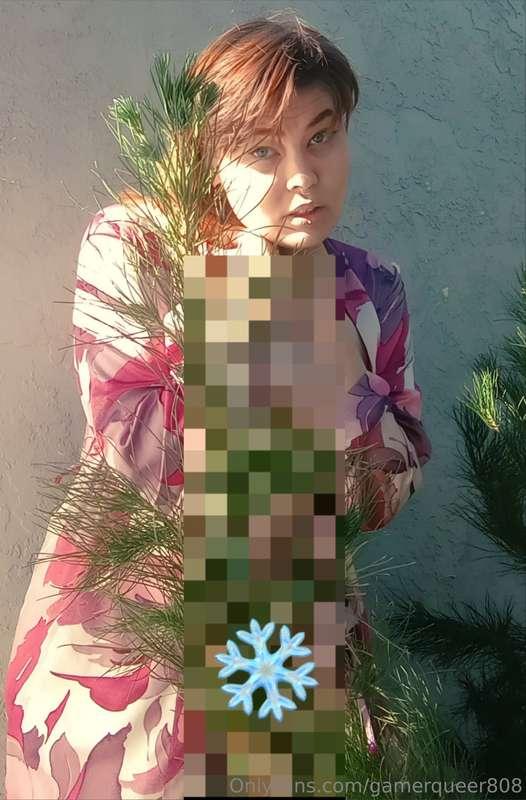 Morning, pet...Open your present before your family wakes up..