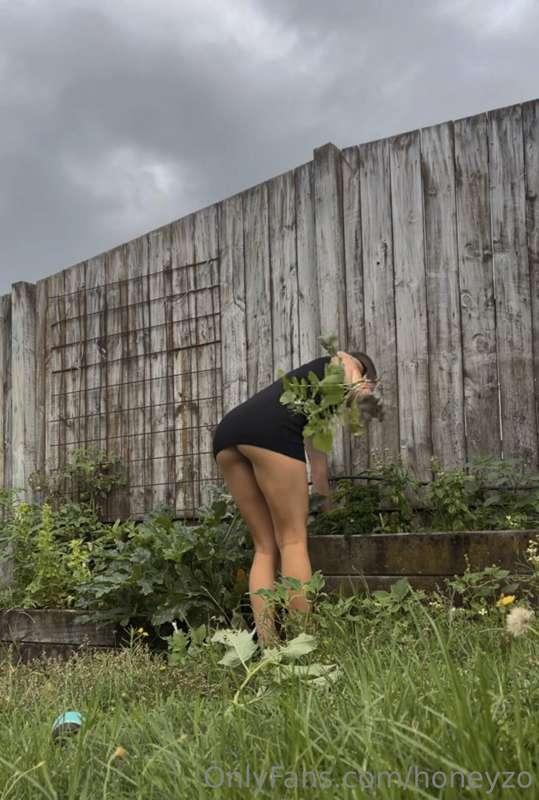 just a ho in the garden xx