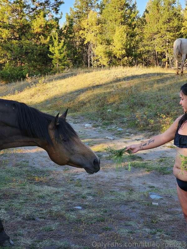 Living life on the ranch