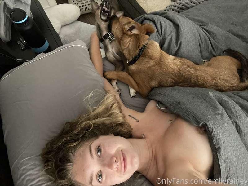 Omg… these dogs have been playing like maniacs 24/7 since br..