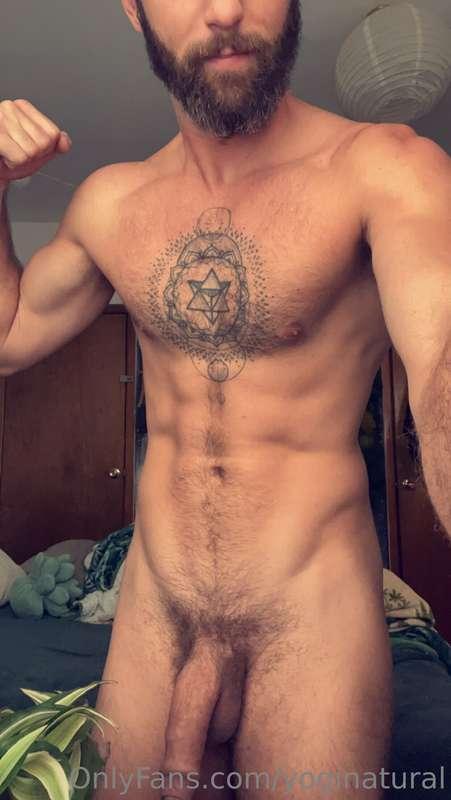 alpha_andre image #2