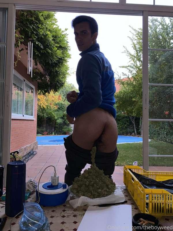 you like this photo?