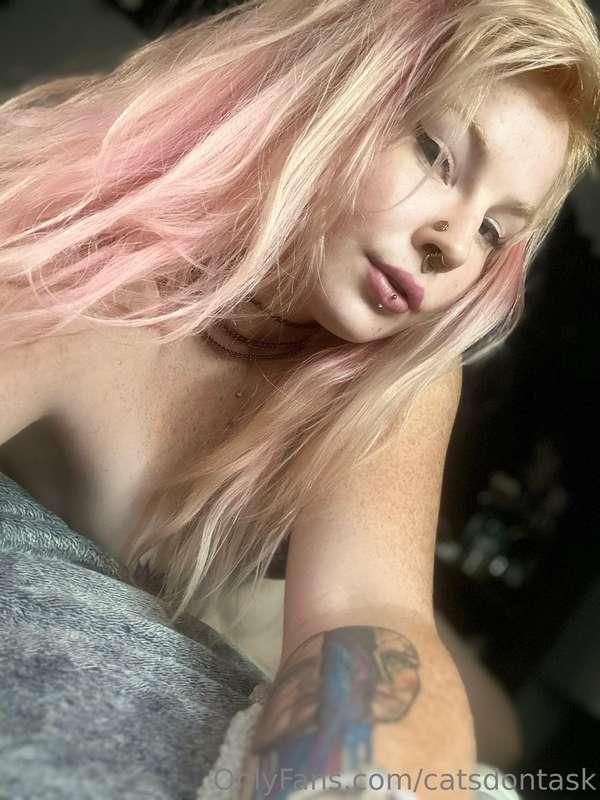 catsdontask image #0