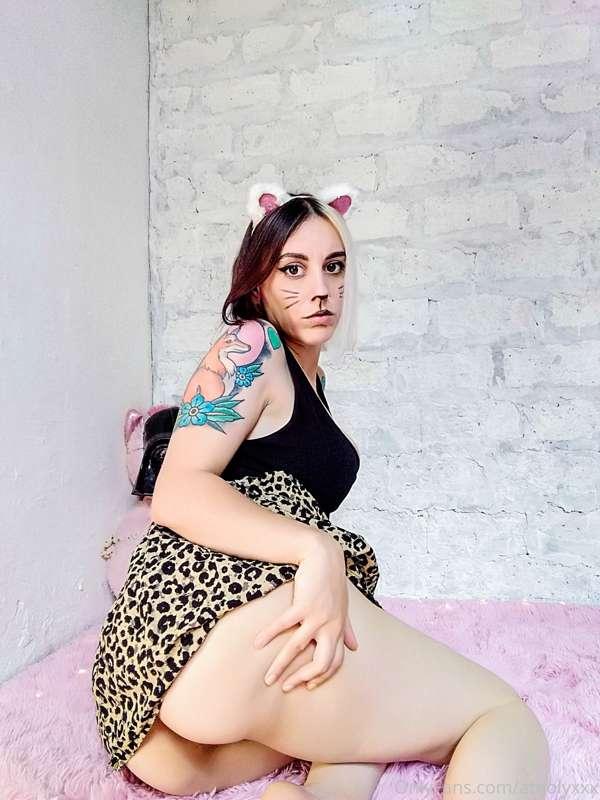 Do you like naughty kittens?