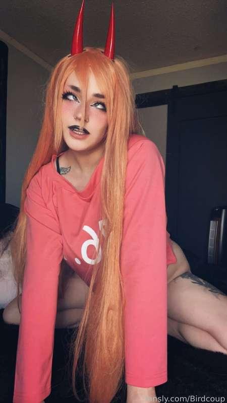 coophound image #2