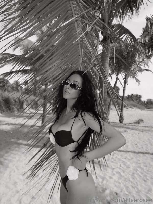 elleerosee image #0