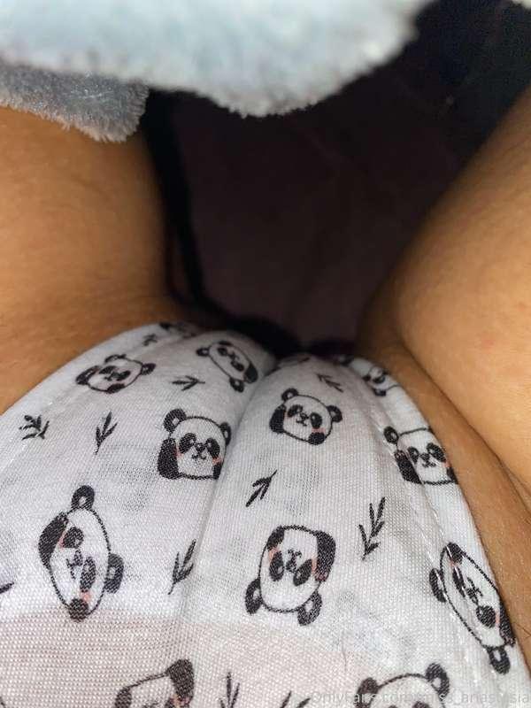 🐼 under the sheets