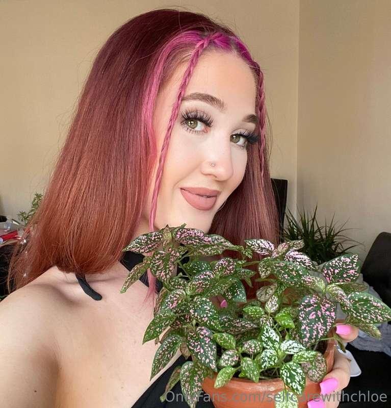 Throwback Thursday! Isn’t this plant beautiful 😍