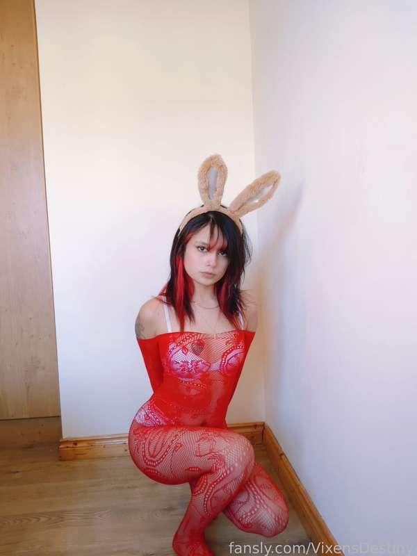 vixensdestiny image #3