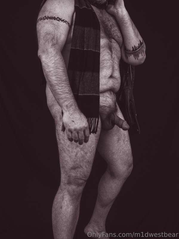 m1dwestbear image #5