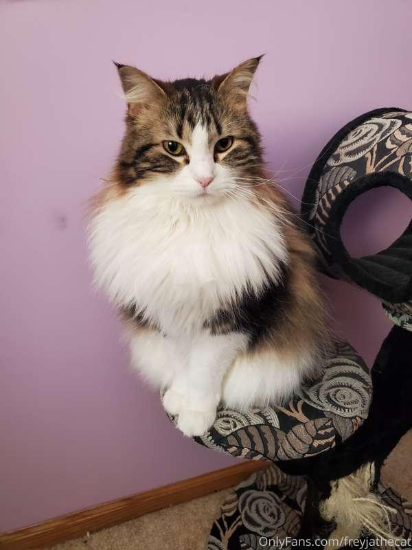 Um... hello? Excuse me, human? Your alarm is going to go off..