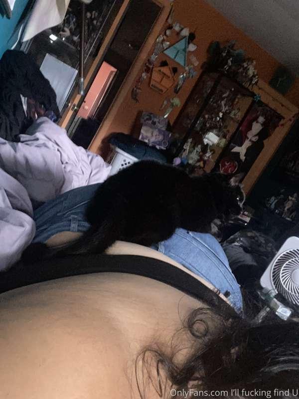 I’ve got a cute little cat that likes to sleep on my butt. 🥰..