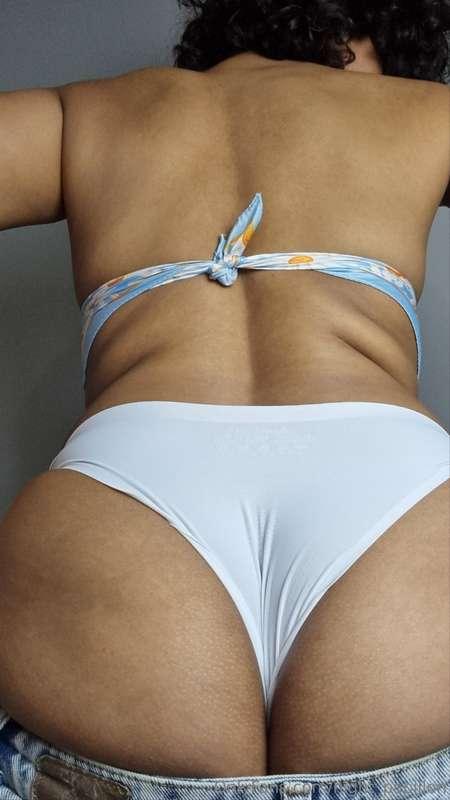 night_papillon image #3