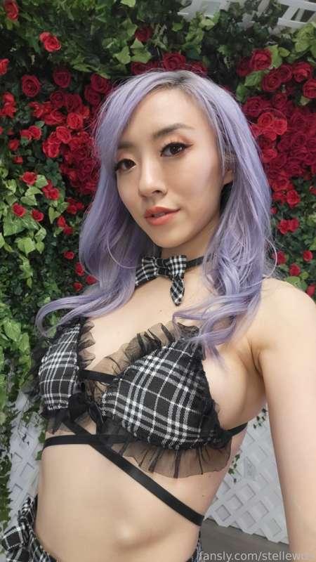 stellewds image #0