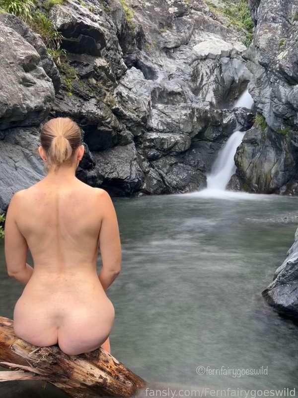 fernfairygoeswild image #1