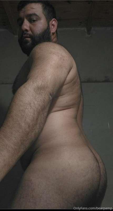 bearpamp image #1
