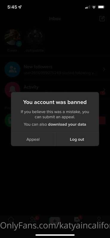 Someone mass reported my tiktok account this morning and it ..