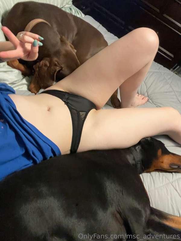 msc_adventures image #3