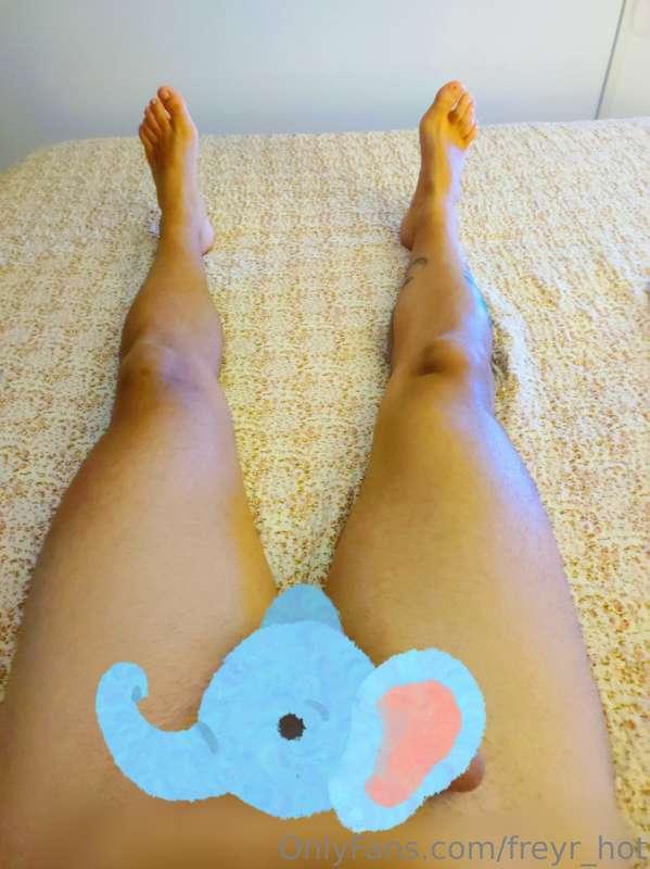 Quien quiere ver a mi Trompita ?