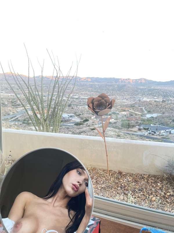 ☀️ 🌙