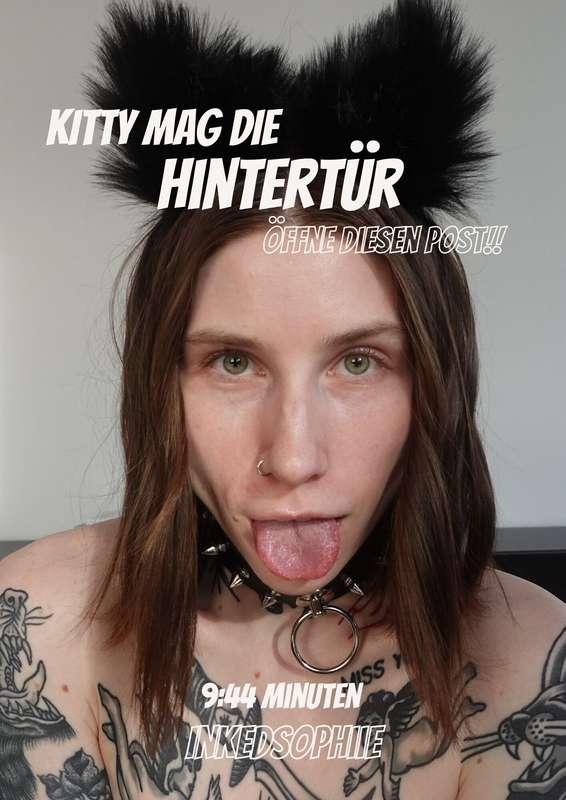 🐱 ANALKITTY + ANALER ORGASMUS🐱 [9:44 Minuten] 4KDiese Kitty ..