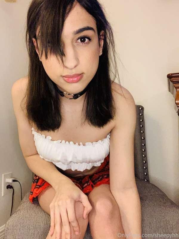 sheepirl image #0