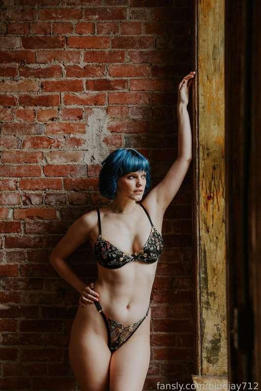 bluejay712 image #4