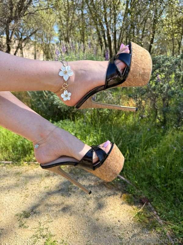 They are beautiful 😍