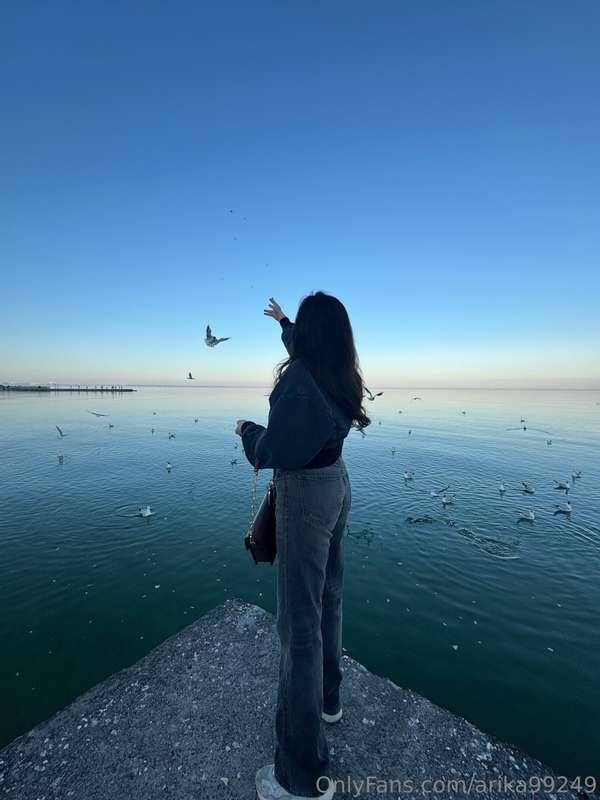 Somewhere between the sea and the sky, I throw crumbs... Wou..