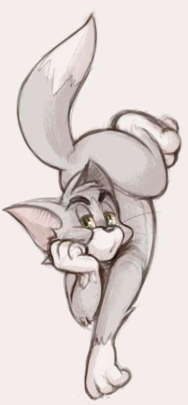 Tom Practice 