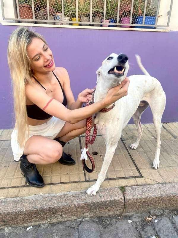 A little secret: dogs are my weakness🐶