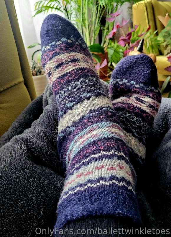 What would you do if I put them in your lap? 🧦👣
