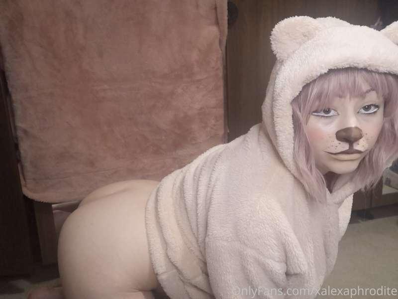 Which scary movie did the bear refuse to watch? The Bear Wit..