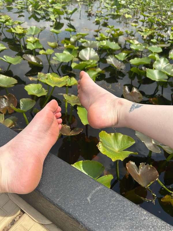 Getting ur toes sucked here>