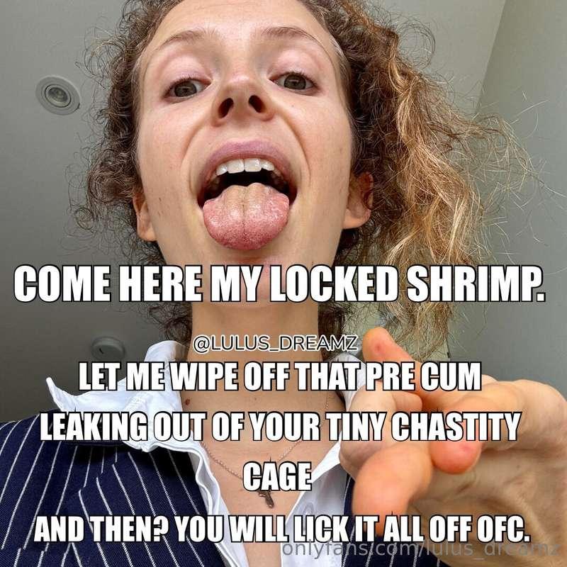 And then? Ofc you will lick up this pathetic pre cum leaking..