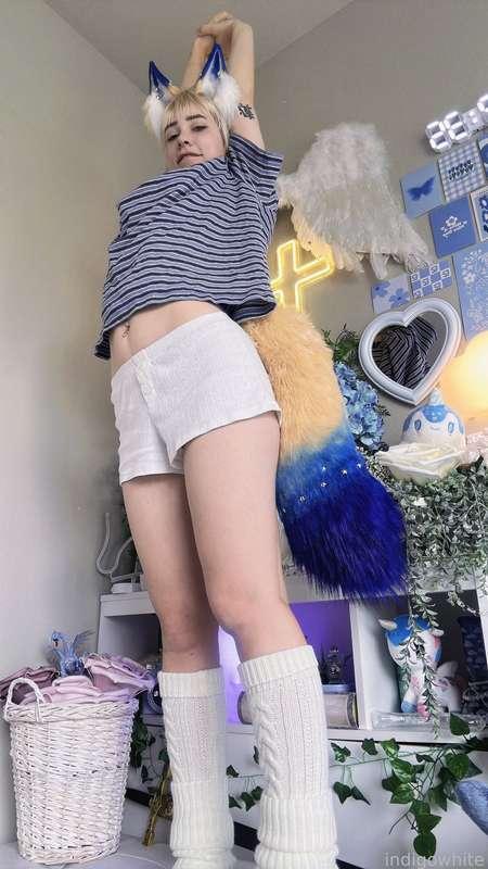 indigowhite image #31