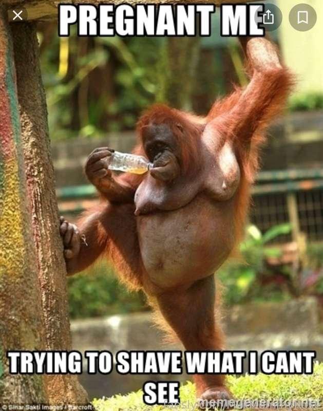 I think I’m going to grow out a Pretty landing strip for the rest of my current pregnancy🤰🏼🙈 Shaving has become more and more challenging as my BIG ole belly hides my pretty little pussy 😻

What do you boys think hmm? 🙈👀

#fyp #meme #preggo #pregnant #hairy #pussy #shaved #landingstrip #switch #alt #mommy #pregnancy #bush #sexy #pubes #hairypussy #memes #funny #poll #vote #pregnantwoman #petite 