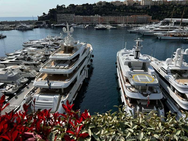 violetandtommyvip image #6