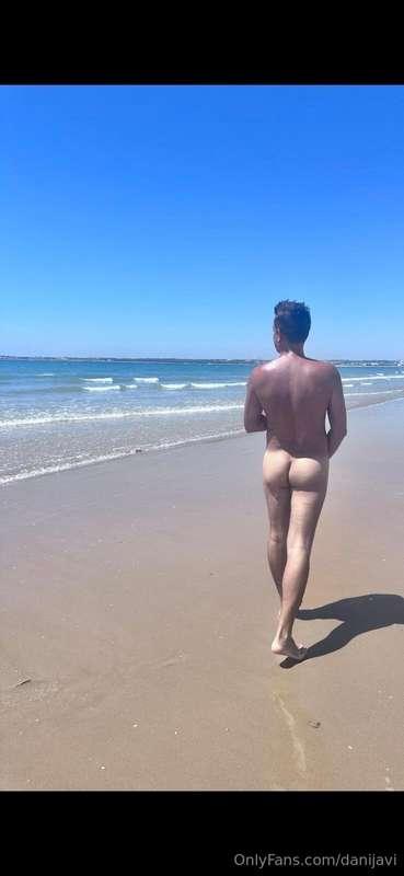 🌴🌴🌴