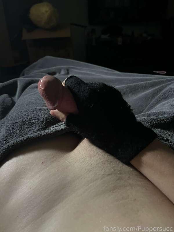 puppersucc image #3