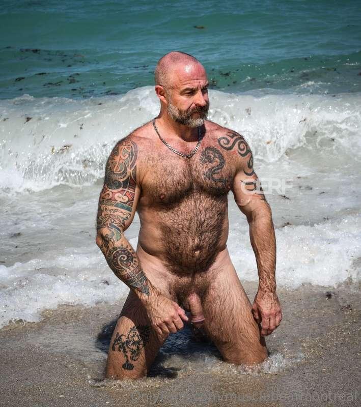 musclebearmontreal image #6