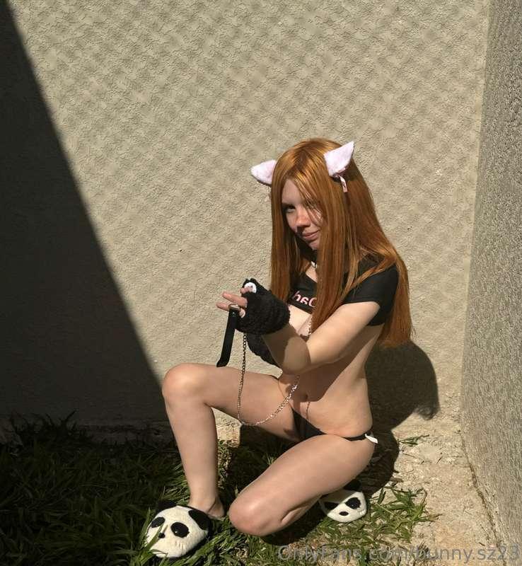 ^-^ your kitten is waiting for you to go for a walk