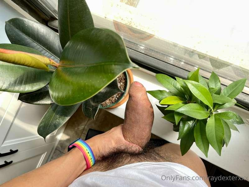 Gotta give my penis plenty of sunlight ☀️ so he can grow up ..