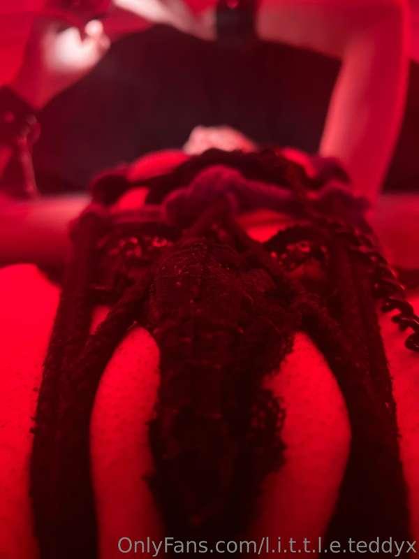 l.i.t.t.l.e.teddyx image #0