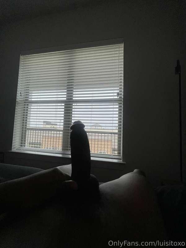 “ goodmorning my neighbors “