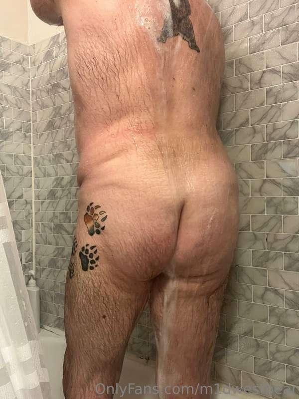 m1dwestbear image #2